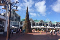 Cape Town Waterfront 1