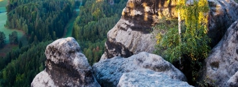 vilhelminos apzvalgos aikstele 16991