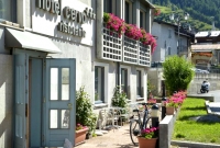 cervo