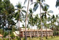 chang2