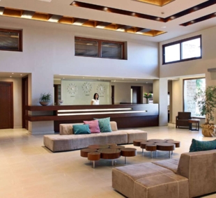 Chrissi Amoudia, lobby