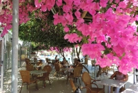 Corfu Hotel laukas 4049