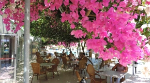 Corfu Hotel laukas 4049