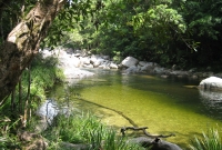 daintree2