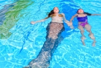 delfinia4