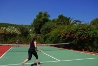 delfinia5