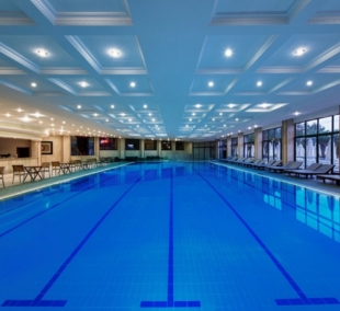Delphin Deluxe, dengtas baseinas