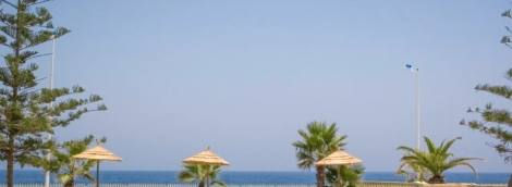 delphine el habib2