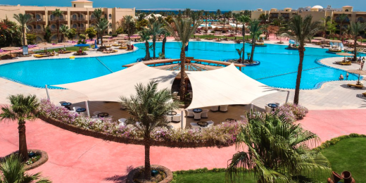panorama desert rose