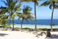 diani1