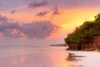 diani3
