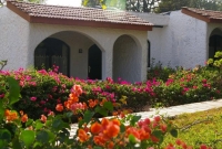 diani nameliai