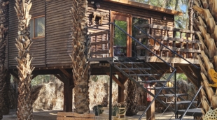 Oaze Dar Abou Habibi