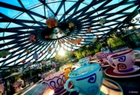 Pasiūlymo galerija 1