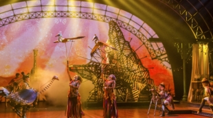 paryzius disneilendo parkas8