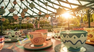 mad hatters tea cups