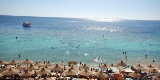 dive inn resort papludimys 16109