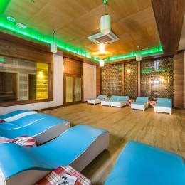 dizalya palm garden spa 14437