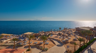 Dreams Beach Resort papludimys