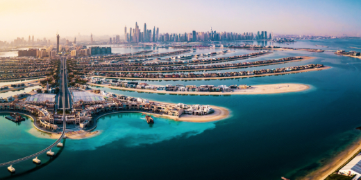 palmes sala dubajus