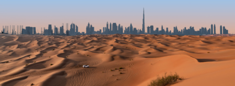 dubajus safaris