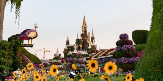 miracle garden