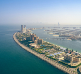 omanas + dubajus dubajus palme