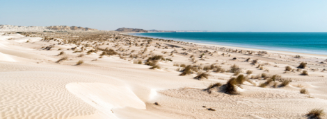 omanas + dubajus white sands