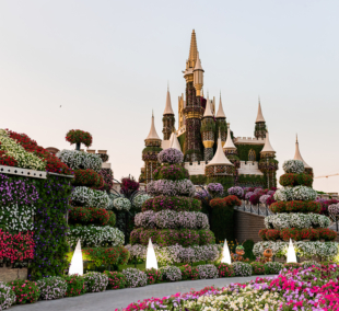 Miracle Garden in Dubai. United Arab Emirates