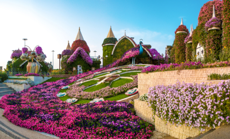 miracle garden