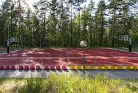 ORO Dubingiai krepšinis 2232