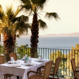 duja bodrum6