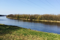 IMG 4581
