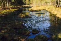 IMG 4584