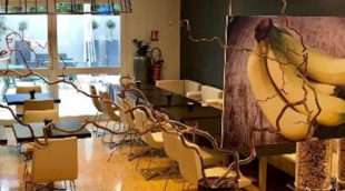 Easyhotel Nice Old Town 1