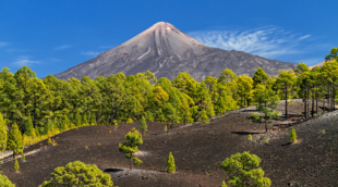 Teide 2