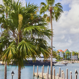Nassau 1