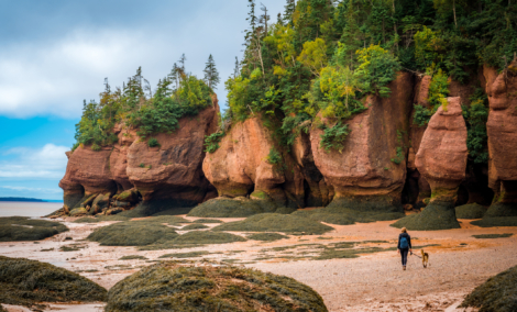 Fundy, įlanka