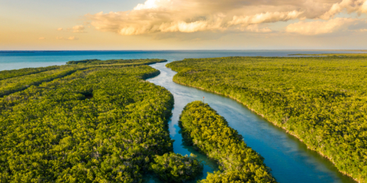 Everglades National Park