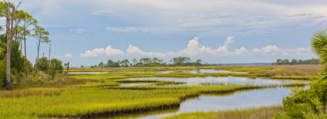 everglades park