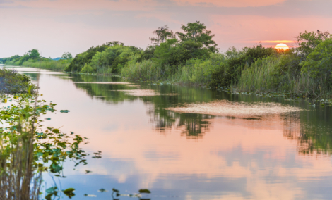 Everglades Sunset