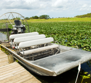 Everglades Swamp Motorboa