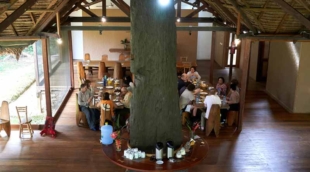Explorer's Inn