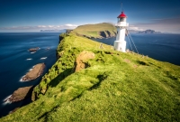 mykines svyturys 5930