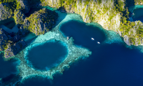 palawan lagunos