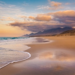Fuerteventura papludimys