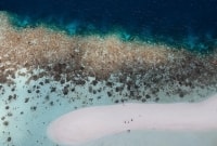 sandbank (nabio foto)