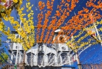 funchal vaizdas