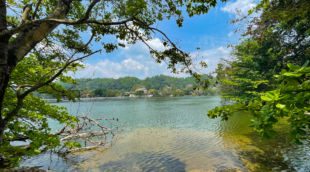 madampe lake sri lanka