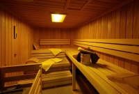 gasthof alpenrose sauna 5117